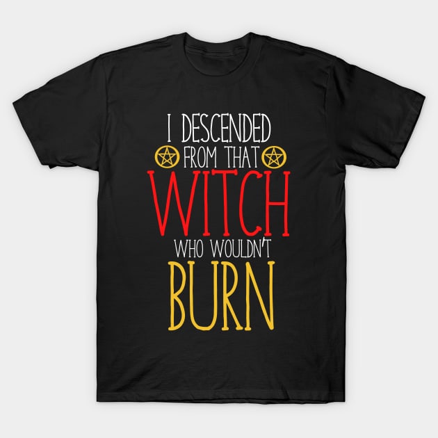 I descended from that witch who wouldn't burn T-Shirt by bubbsnugg